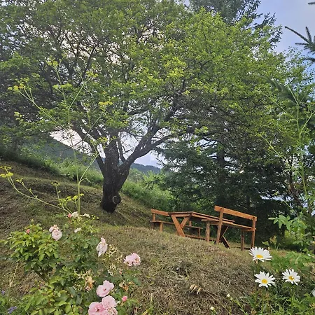 Planinska Kuca Ruza Dağ evi